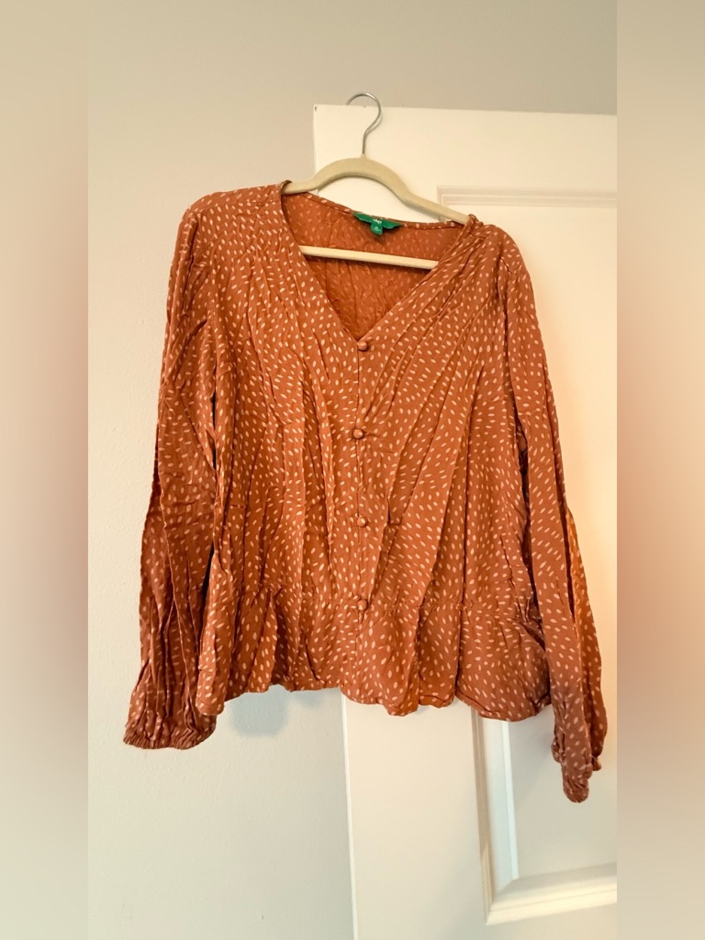 dip Rust Dot Button-Front V-Neck Blouse